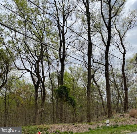 PISCATAWAY HILLS - Land