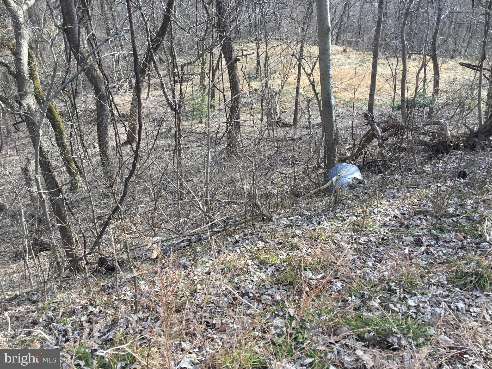 PISCATAWAY HILLS - Land