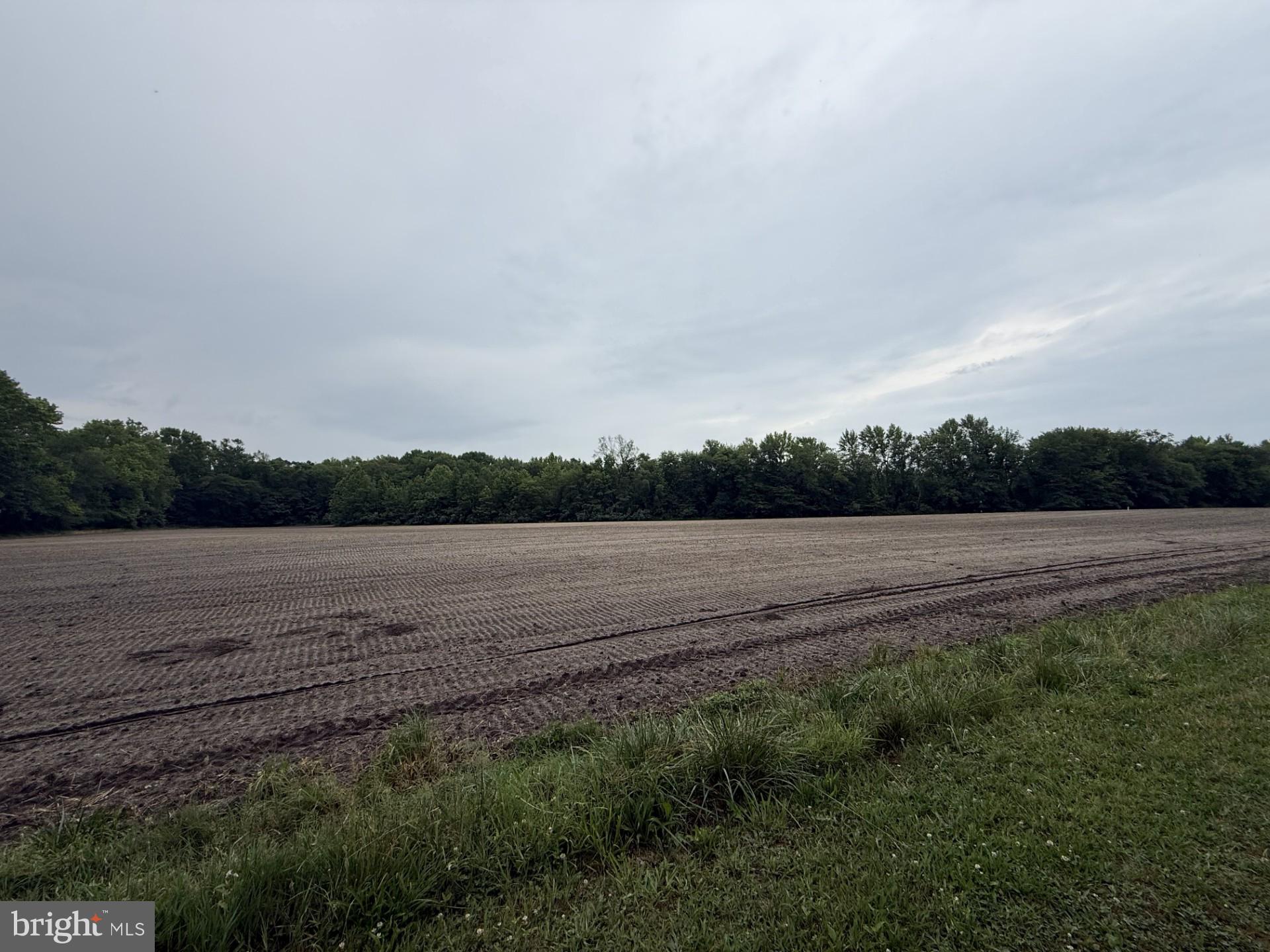 272 POINTVILLE ROAD