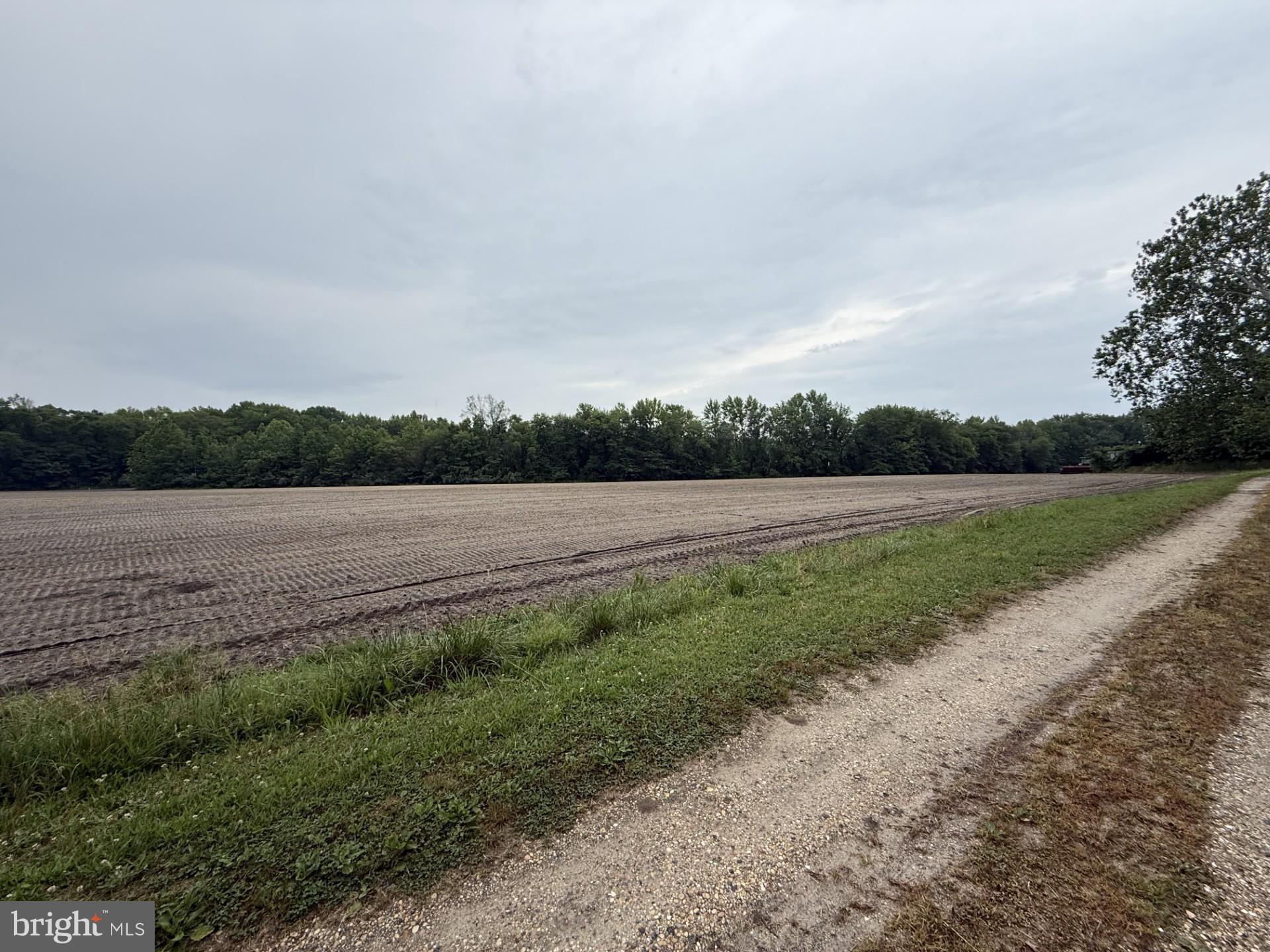 272 POINTVILLE ROAD