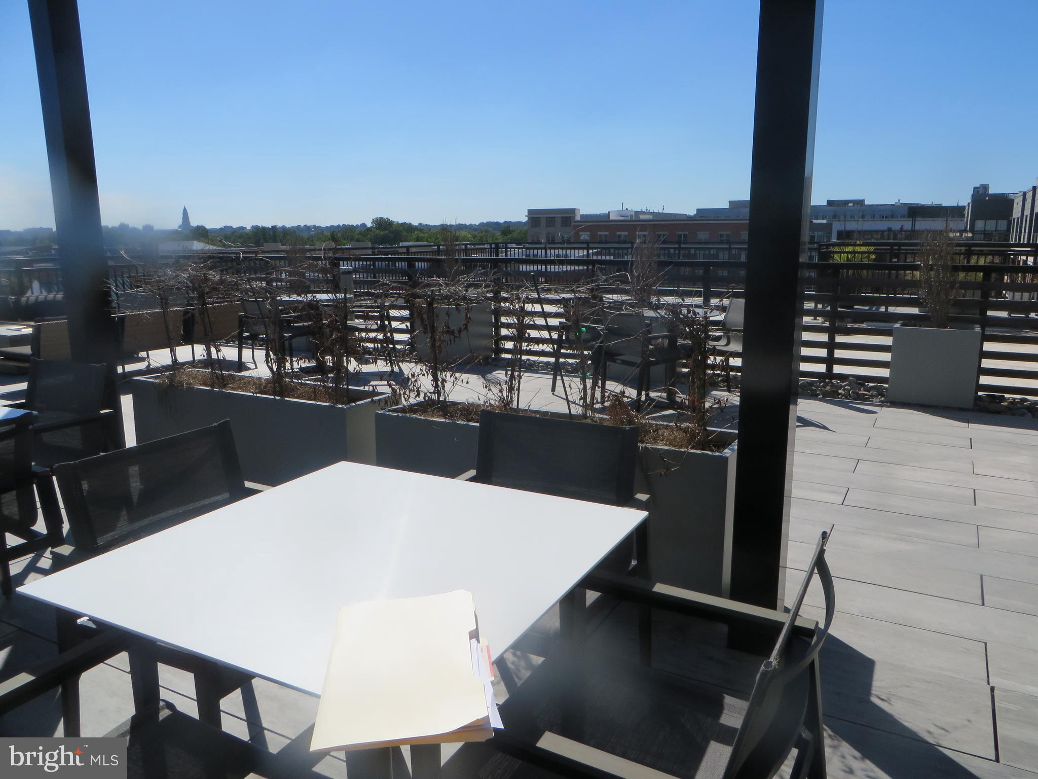 POTOMAC  YARDS - Residential Lease