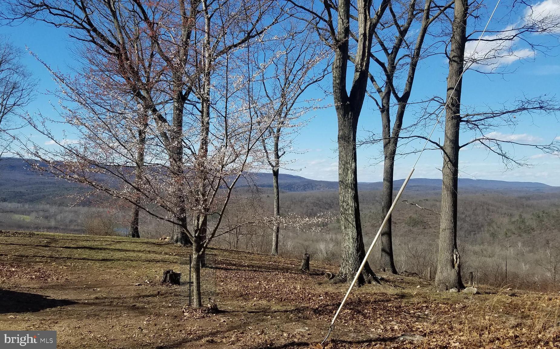 MAGNOLIA BEND - Land