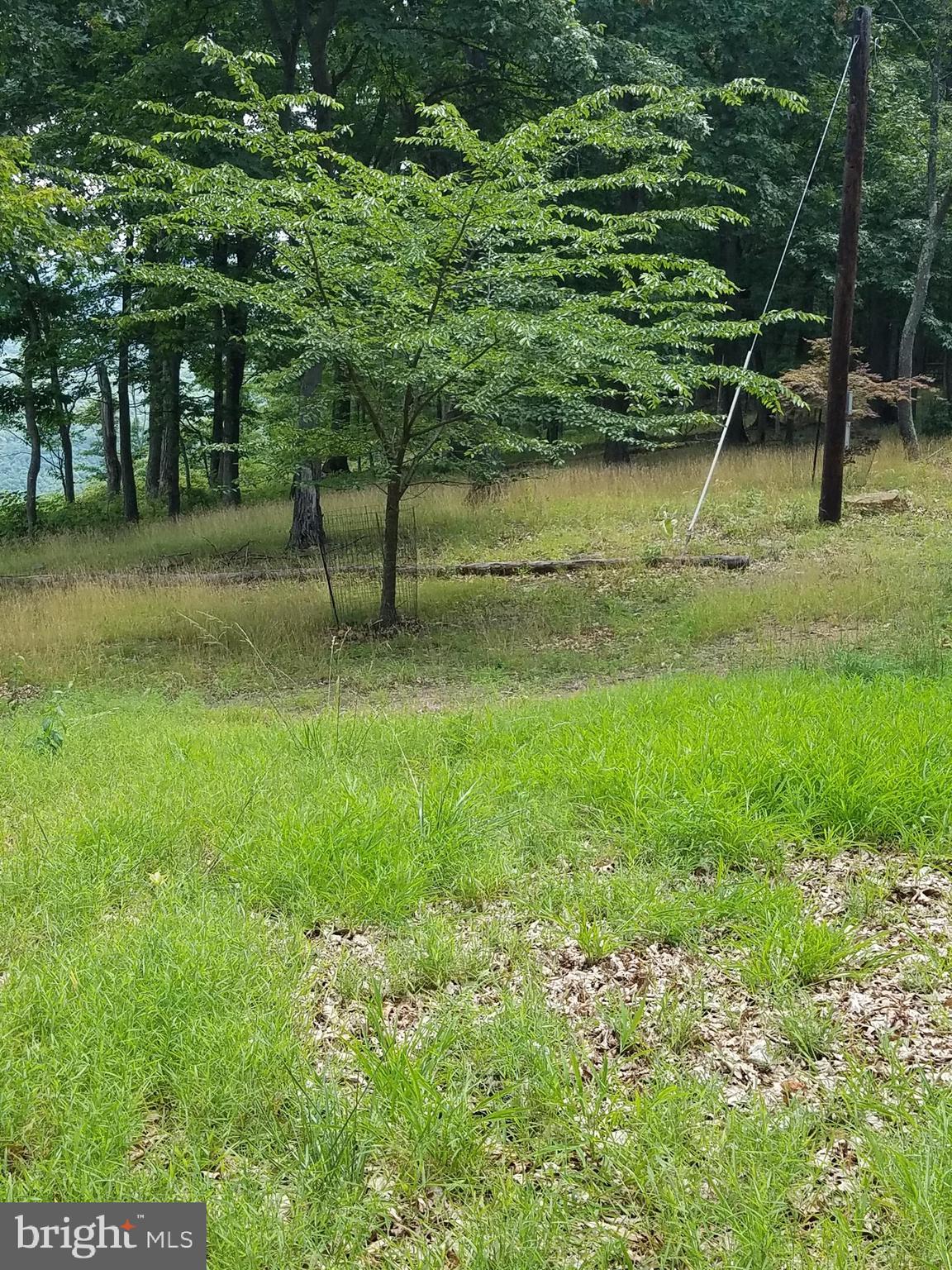 MAGNOLIA BEND - Land