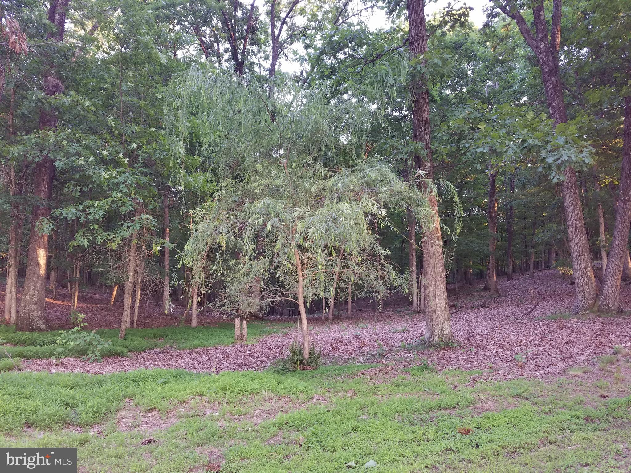 MAGNOLIA BEND - Land