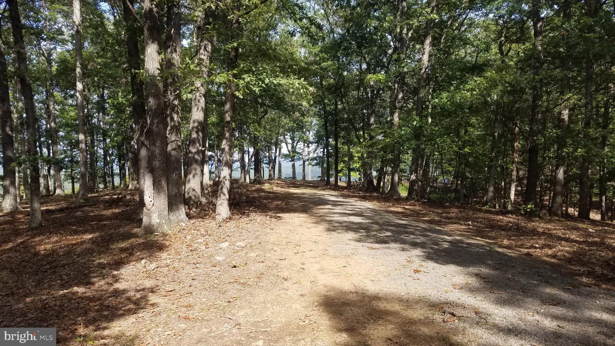 MAGNOLIA BEND - Land