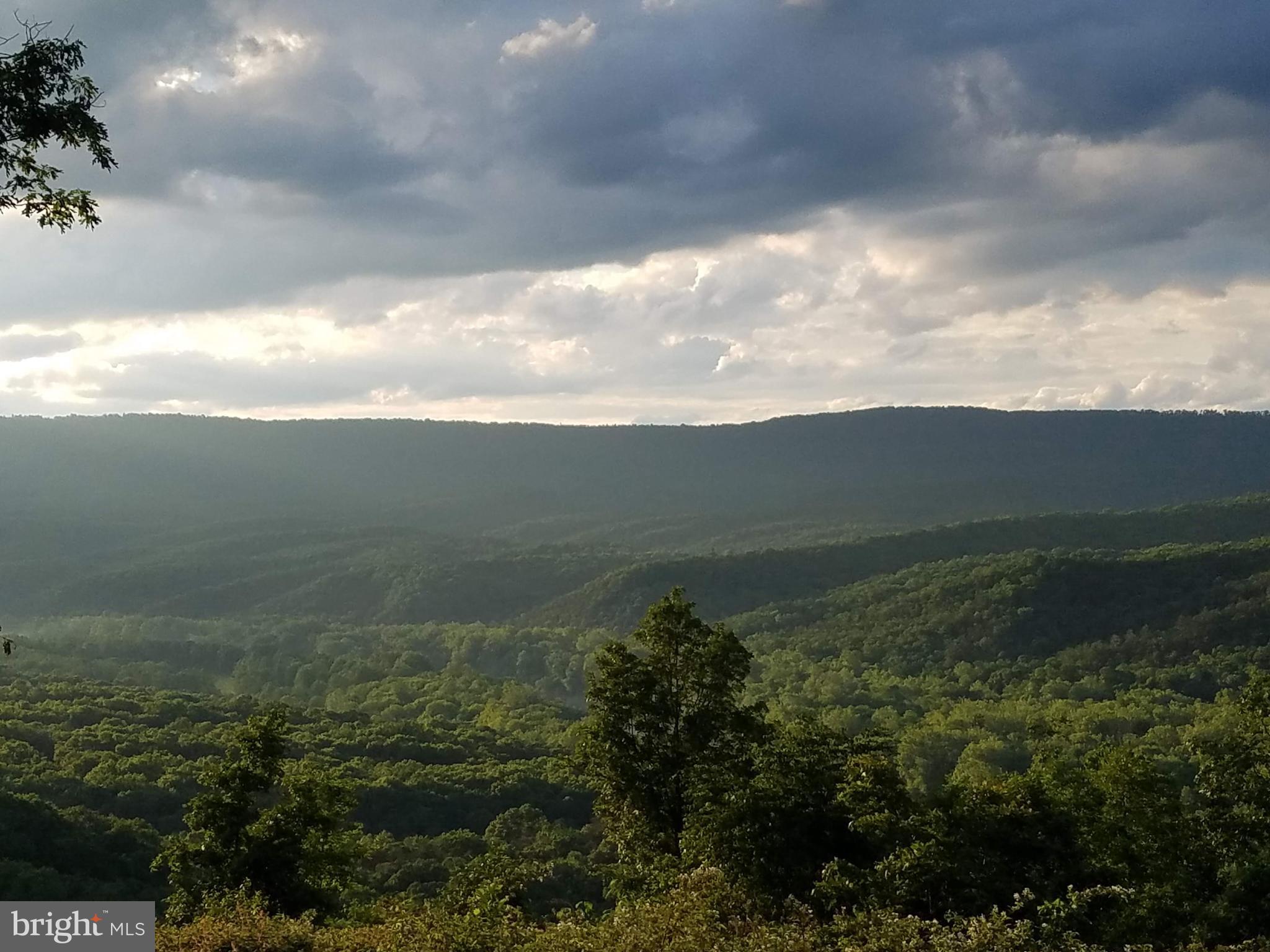 MAGNOLIA BEND - Land