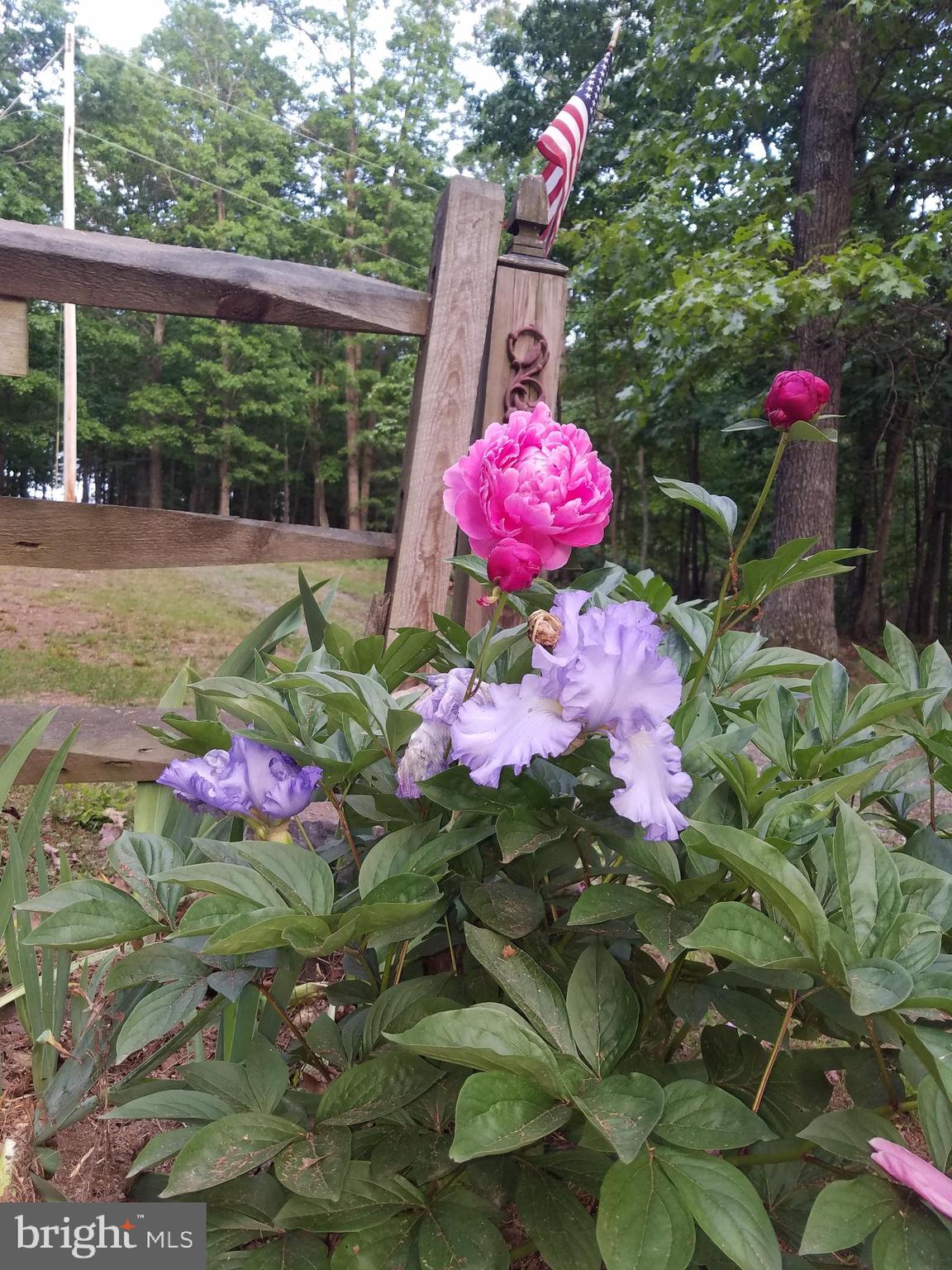 MAGNOLIA BEND - Land