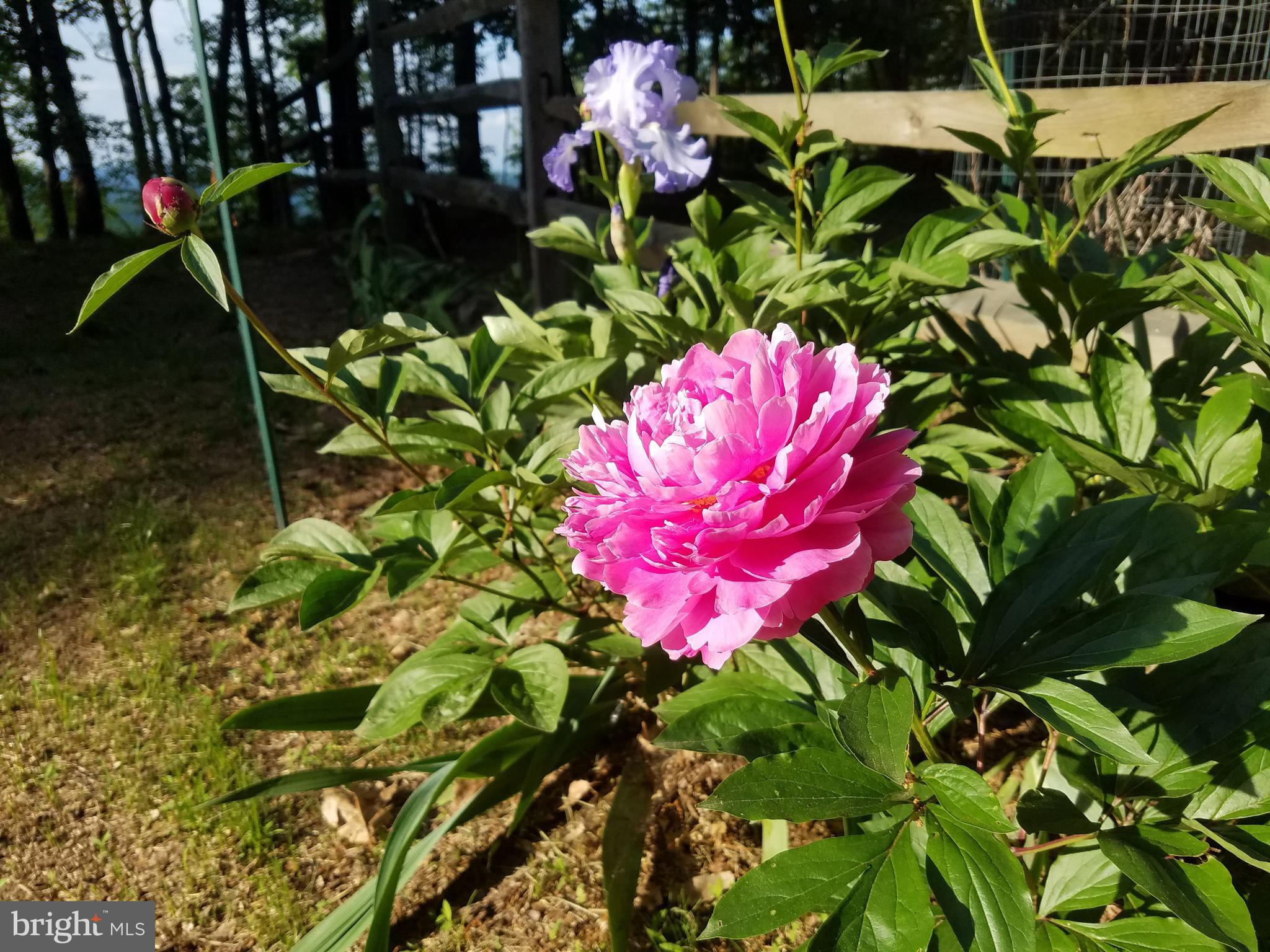 MAGNOLIA BEND - Land