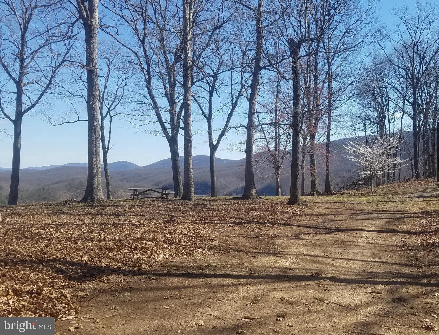 MAGNOLIA BEND - Land