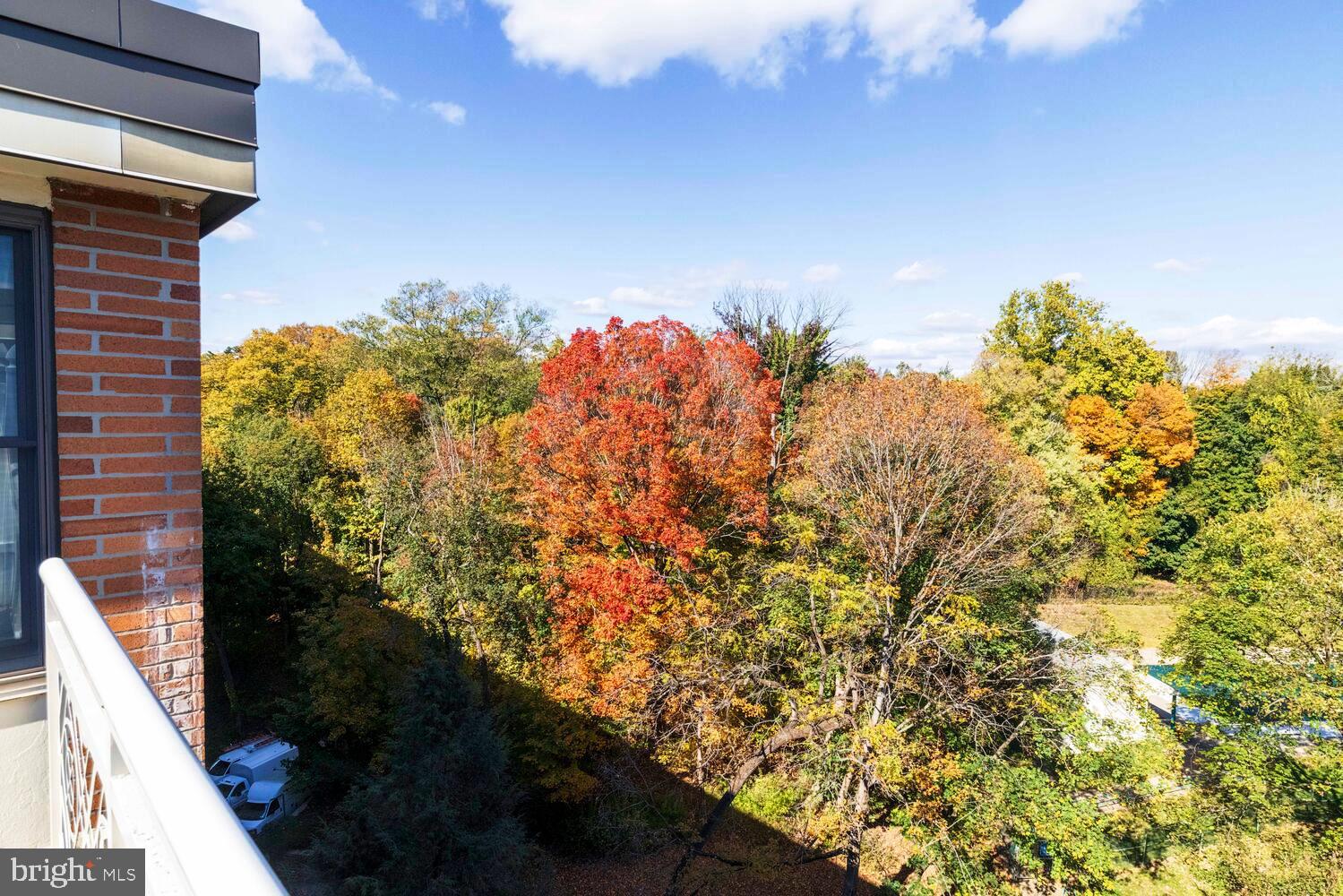 ELKINS PARK HOUSE - Residential