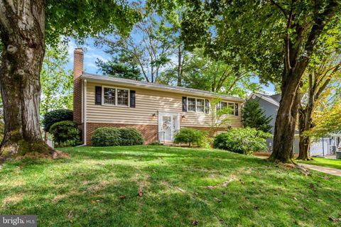 2503 BRIGHT WOOD DRIVE DUNN LORING VA 22027