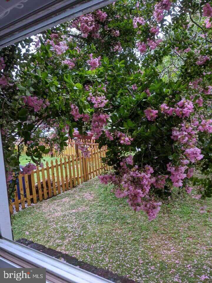 LINOVER - Residential