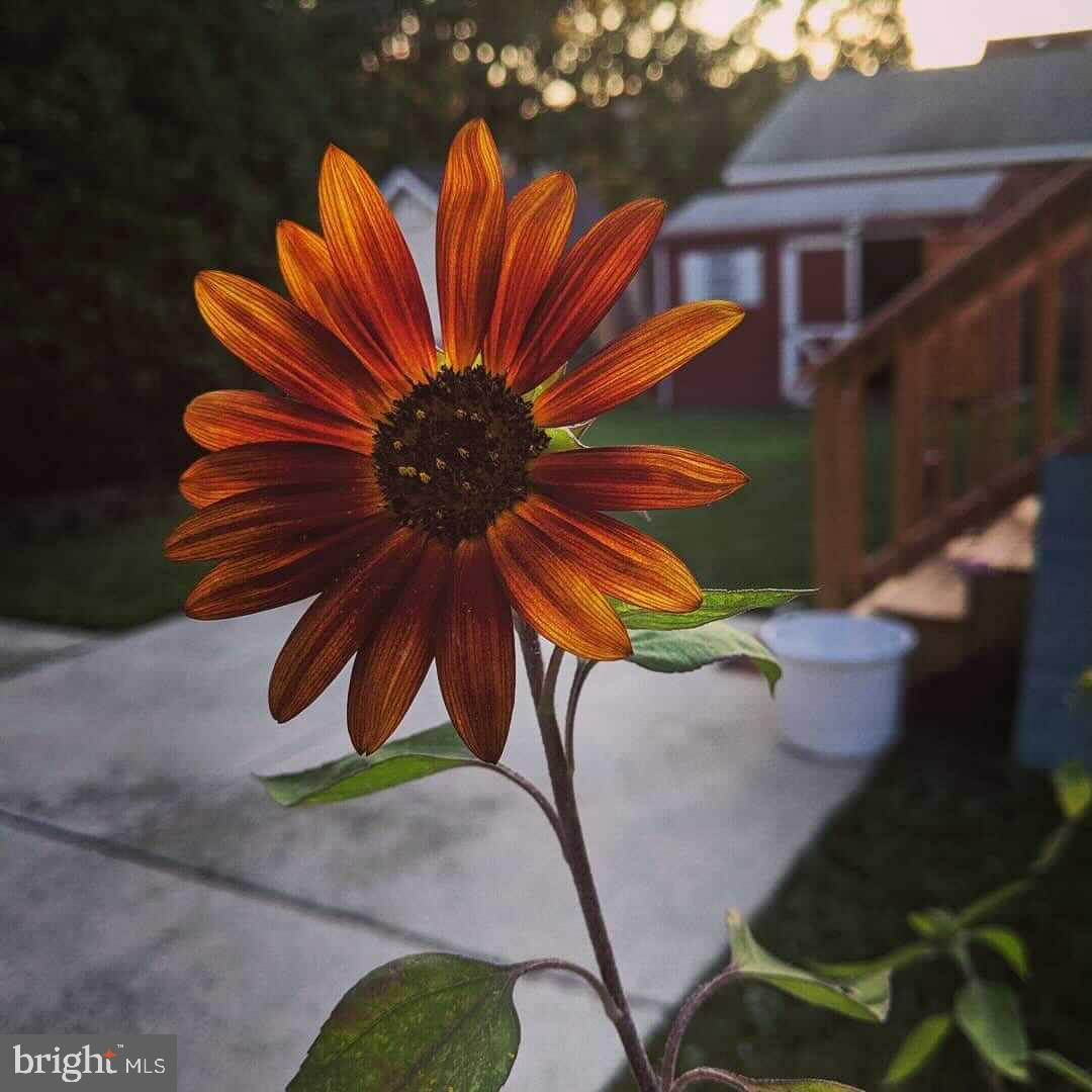 LINOVER - Residential