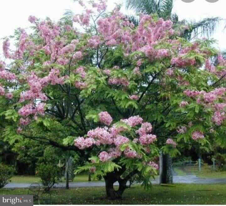 LINOVER - Residential