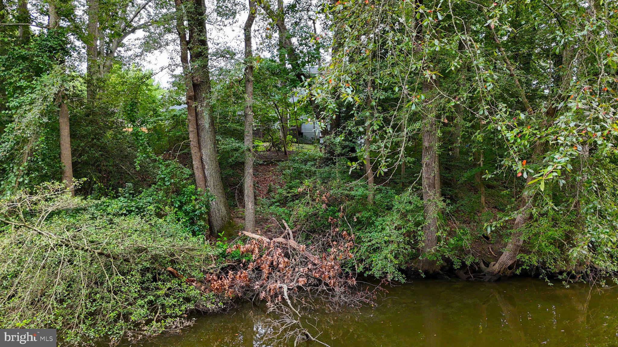 244 CHARITA WAY