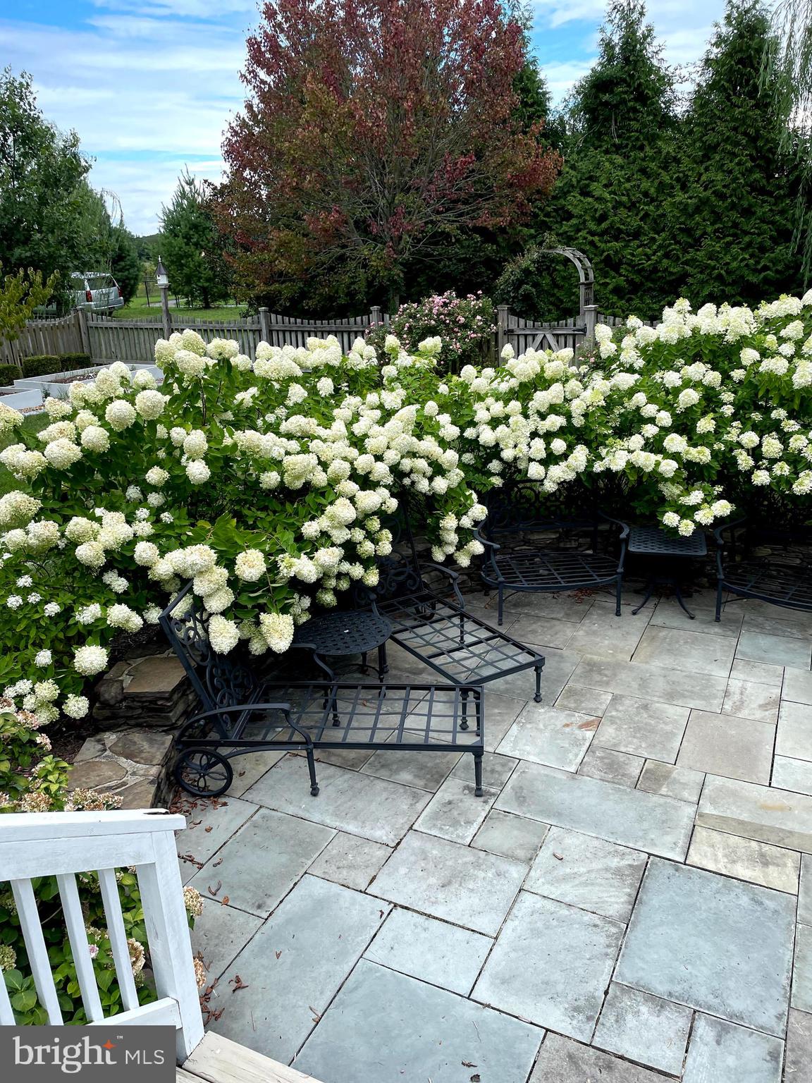 LEONARDS GRANT - Residential Lease