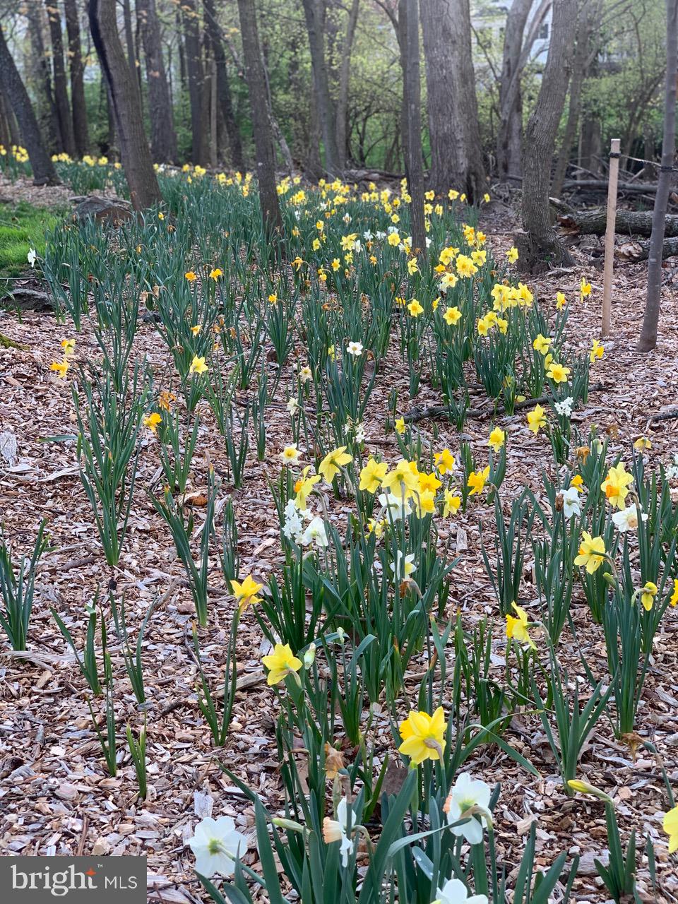 STONEBRIDGE - Residential