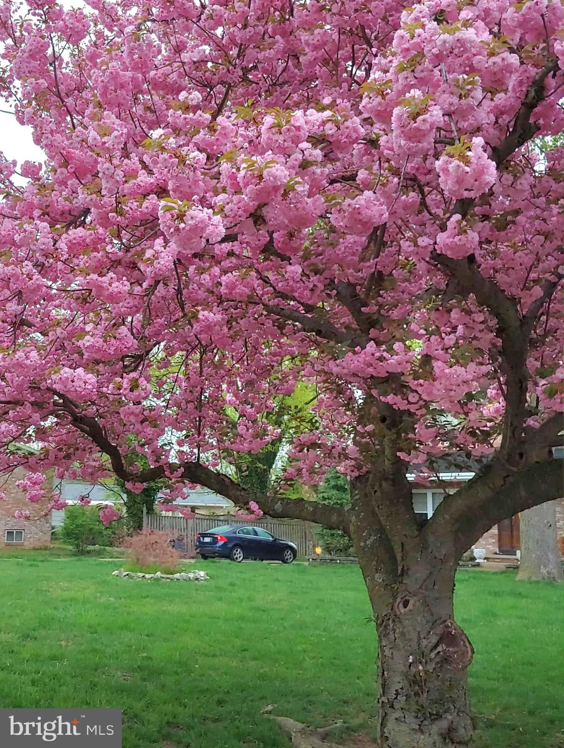 ROBIN HOOD PLAINS - Residential