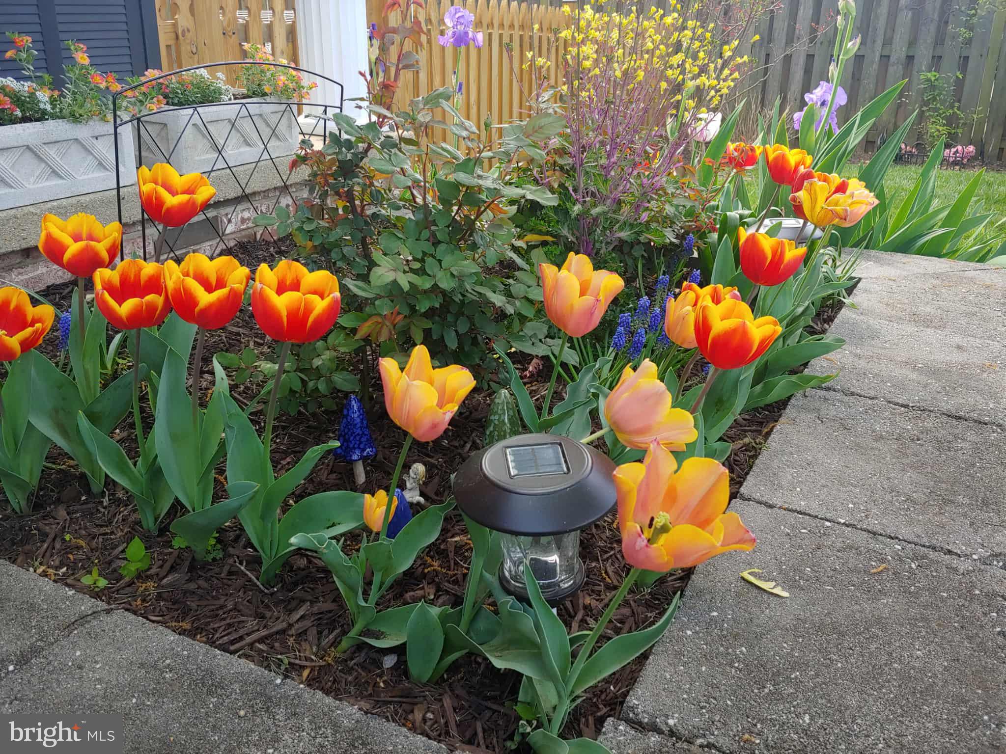 ROBIN HOOD PLAINS - Residential