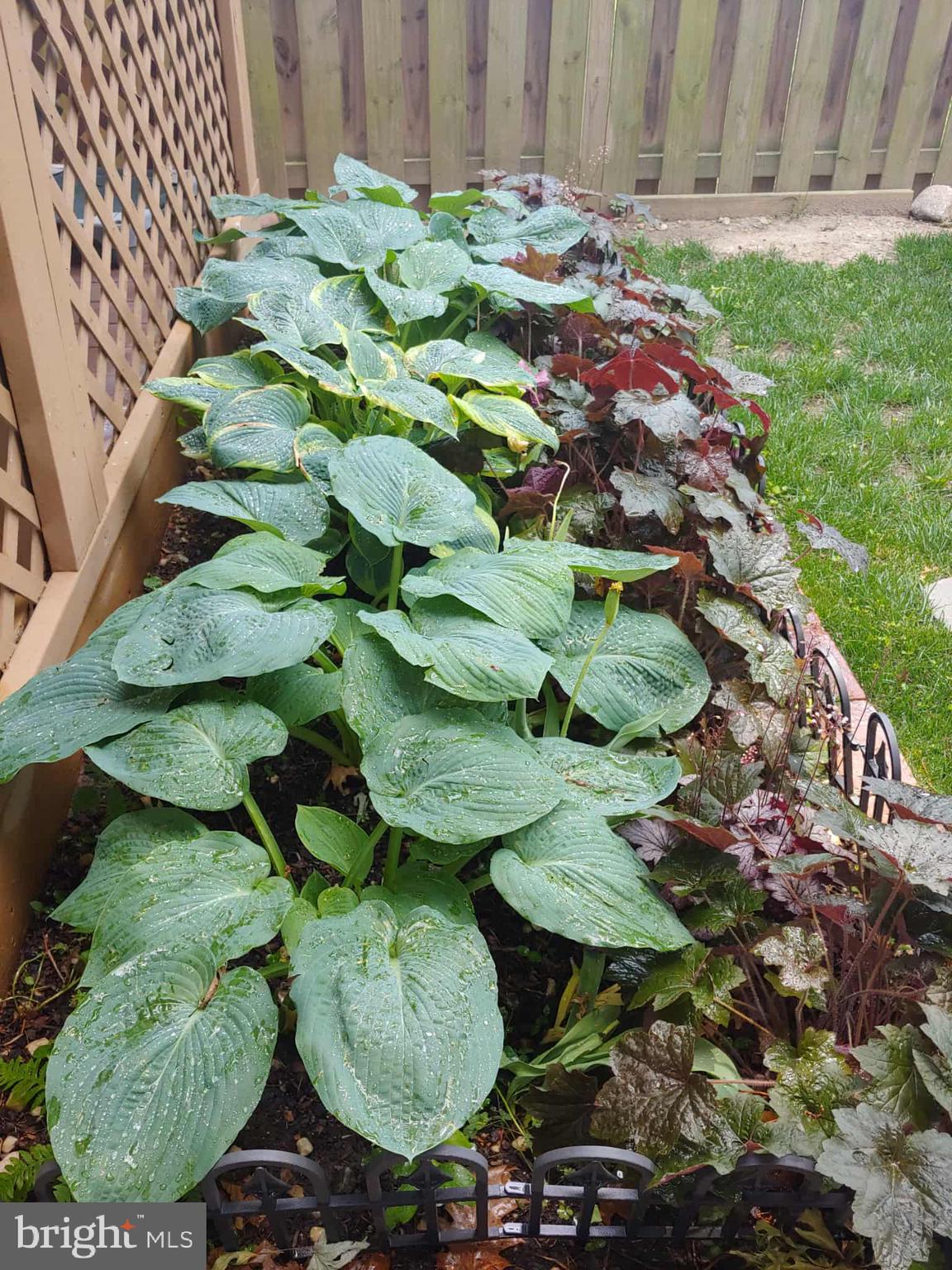 ROBIN HOOD PLAINS - Residential