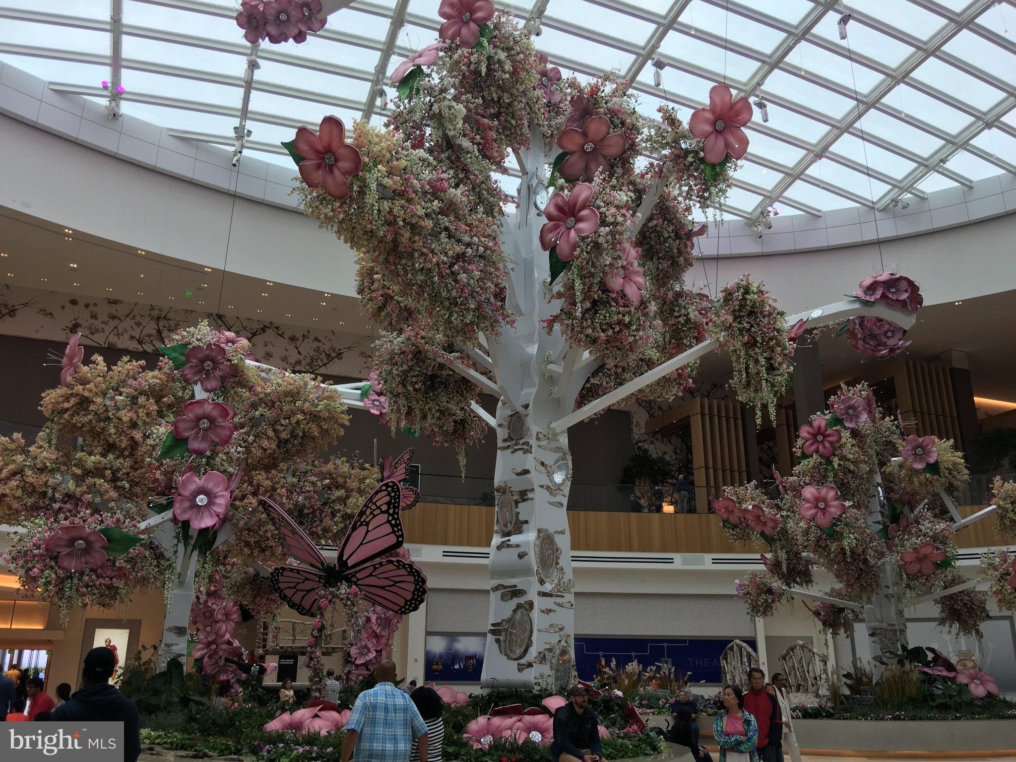 ROBIN HOOD PLAINS - Residential