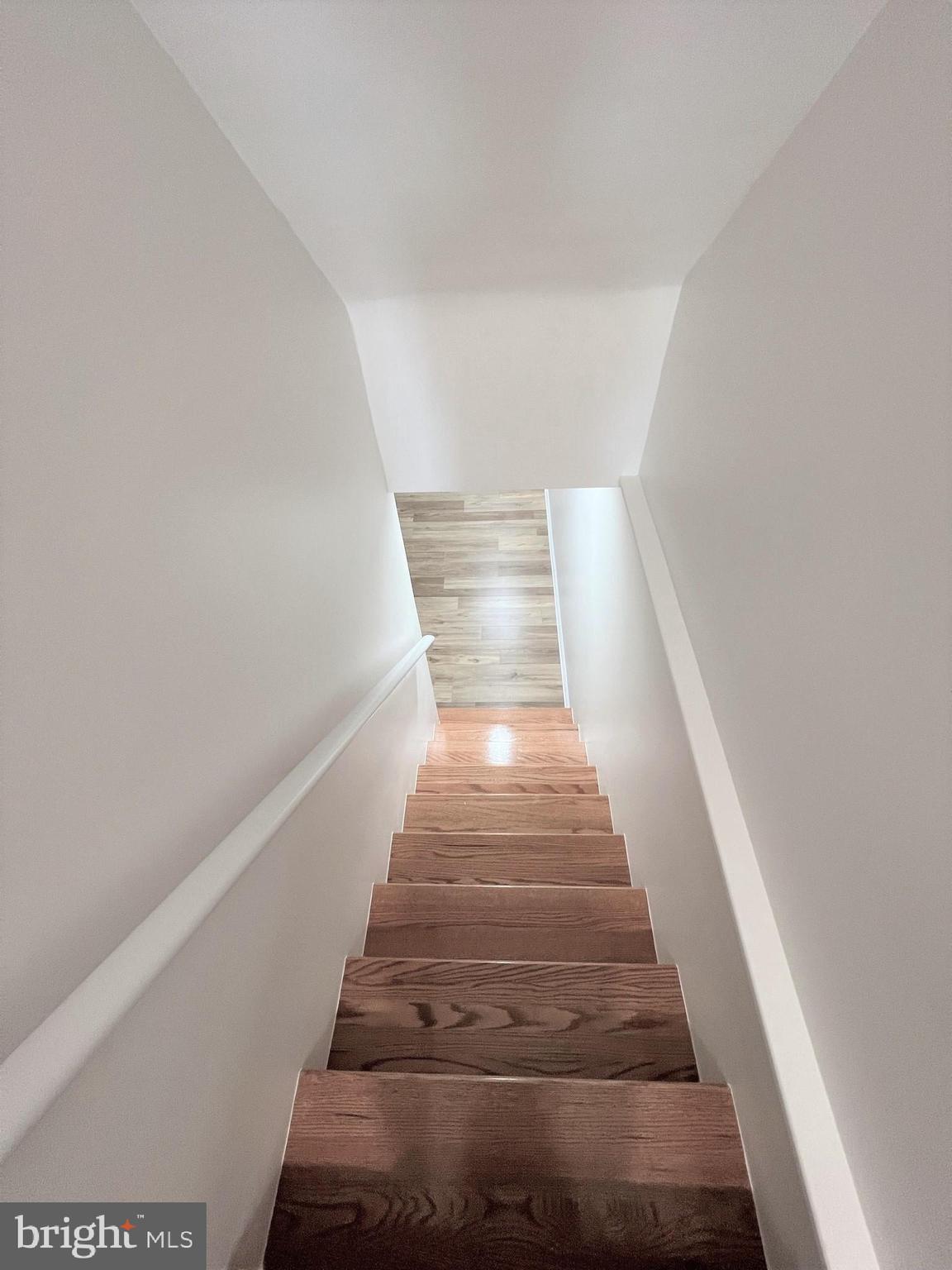 CAMERON HOMES - Residential Lease