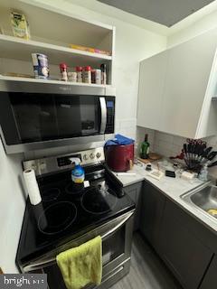 CONTEMPORARY VLG - Residential