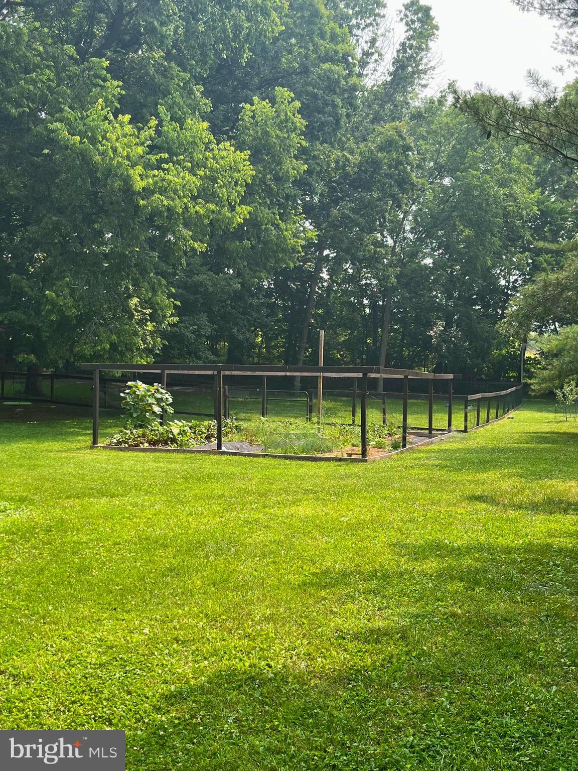 OAK TREE EAST - Residential