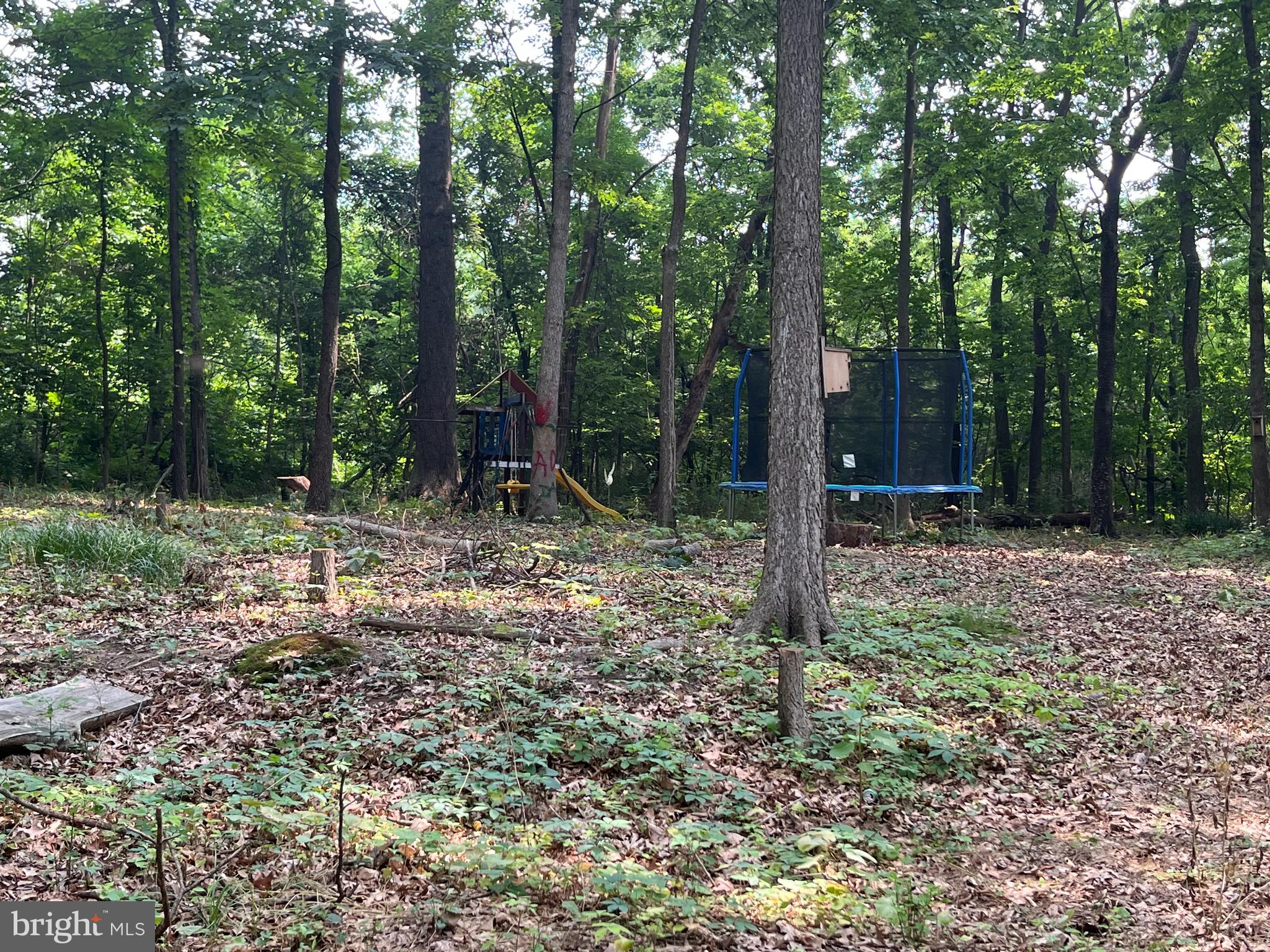 OAK TREE EAST - Residential