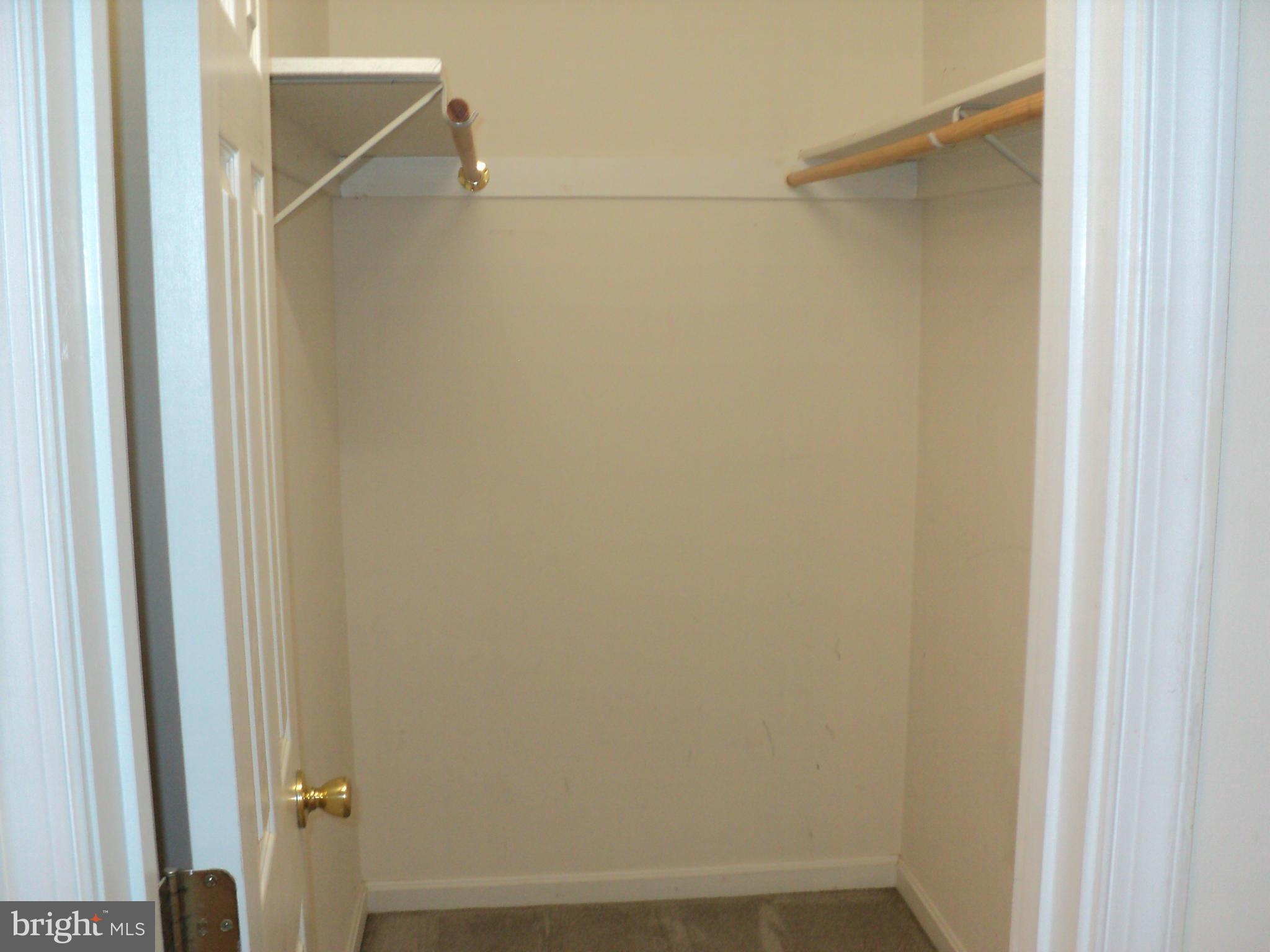 COBB ISLAND - Residential Lease