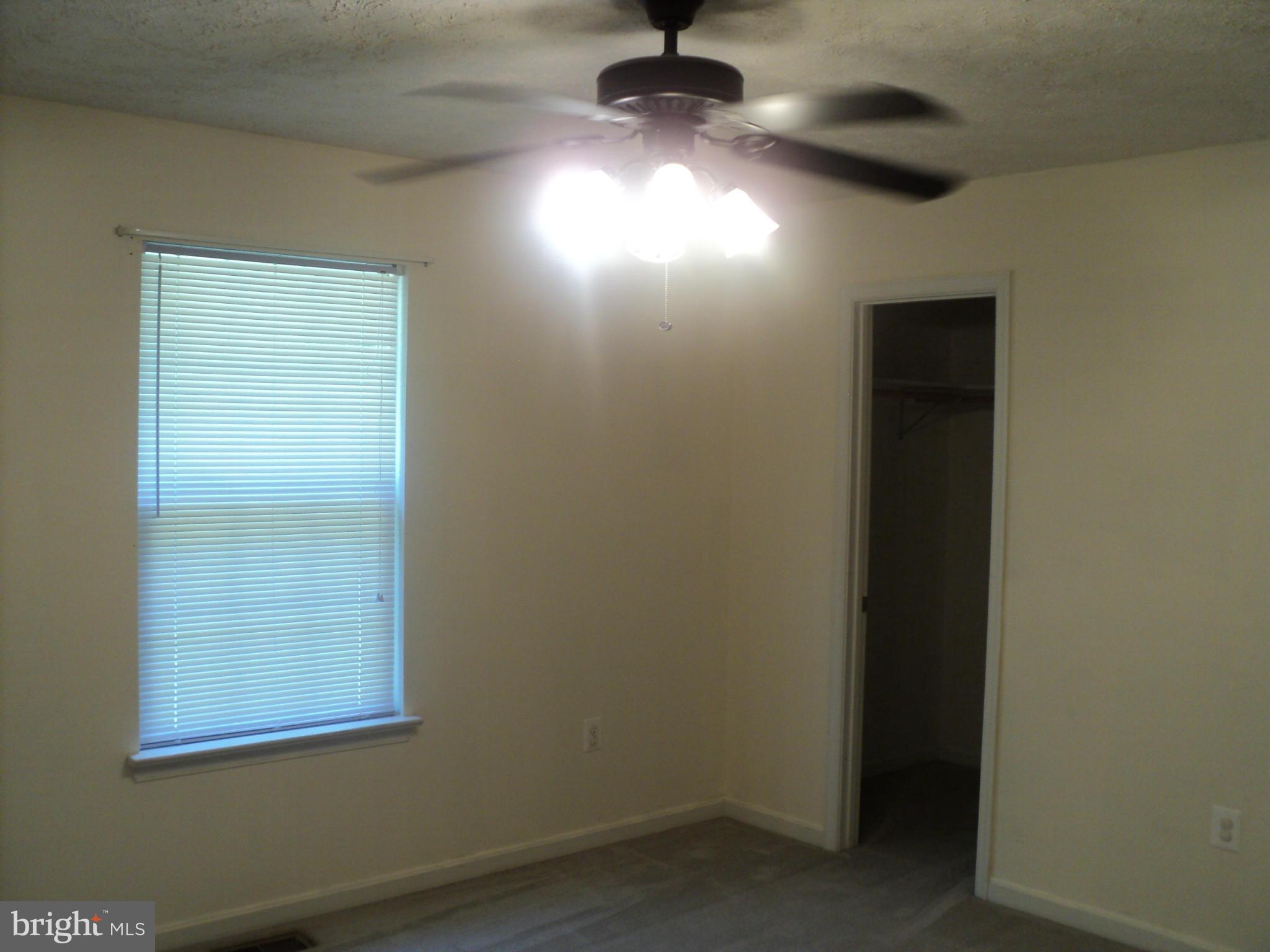 COBB ISLAND - Residential Lease