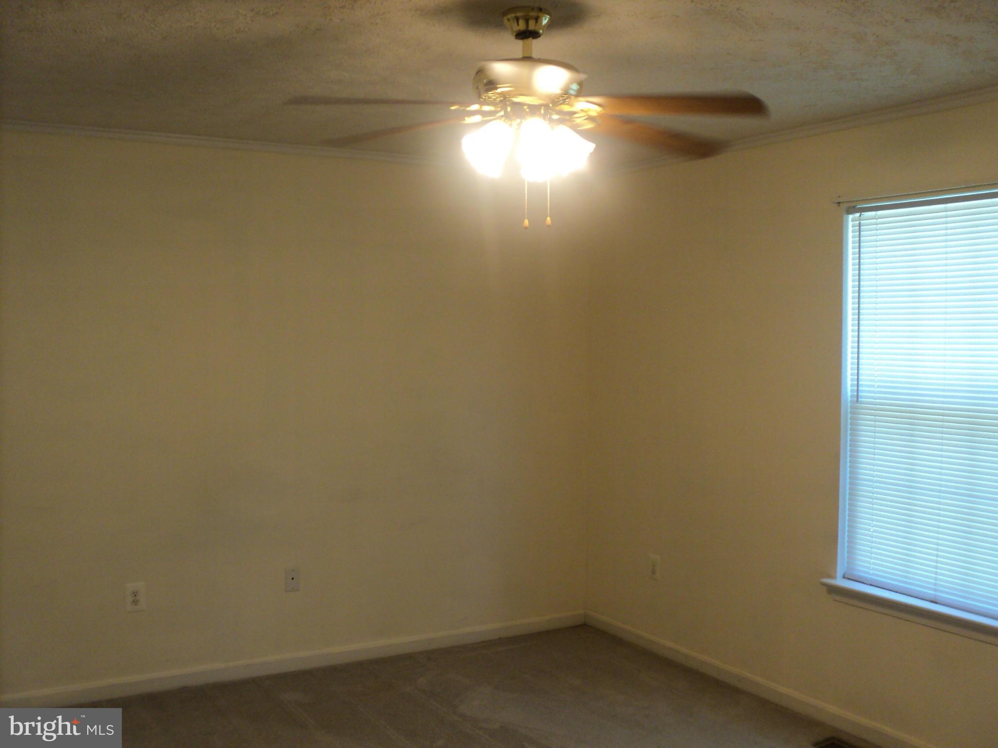 COBB ISLAND - Residential Lease