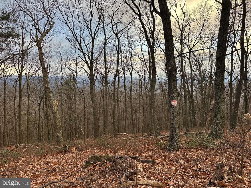 Come and see this private mountain top retreat with expansive views of the WV mountain scape! The  nearly 7.5 acres has an entrance/driveway established for access to the property. The gated community offers the sought after security and seclusion from the hustle and bustle.