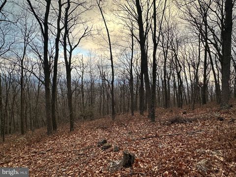 Vacant Land For Sale - LOT 24 SEC 10 Lawyer Lane<br/> SLANESVILLE, WV 25444