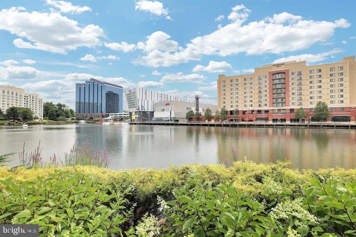 AMBERFIELD - Residential Lease