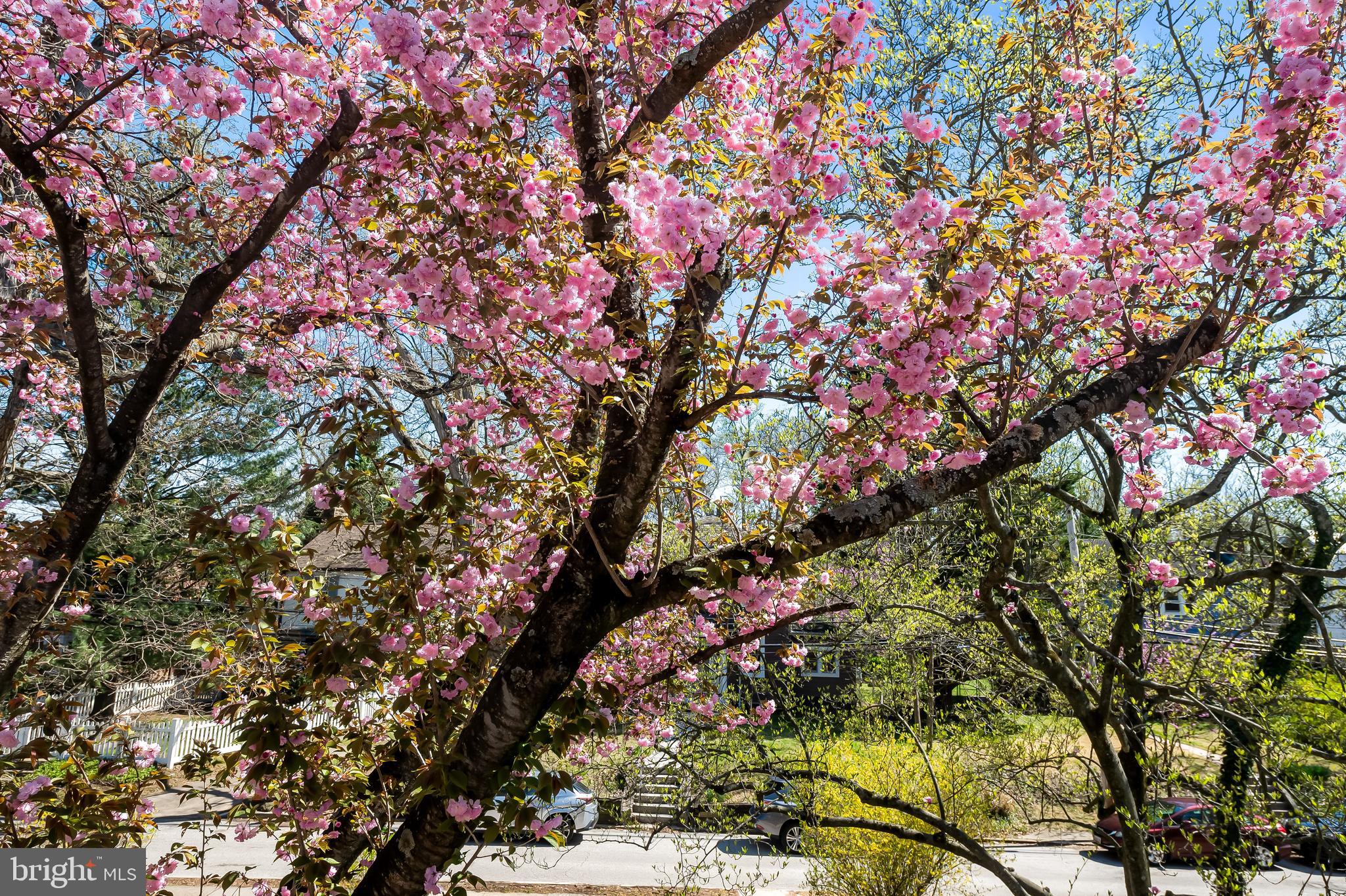 MOUNT WASHINGTON - Residential