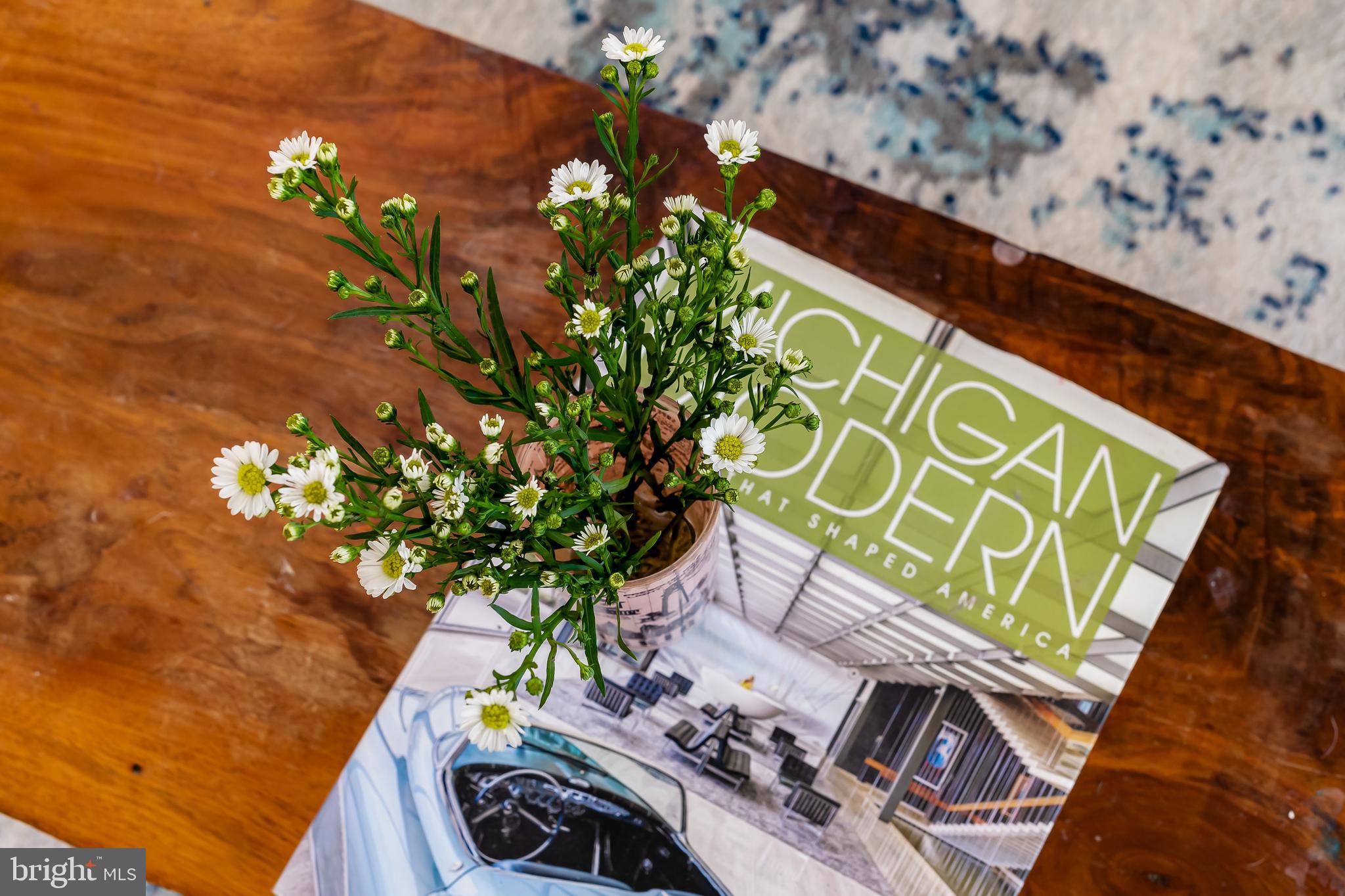 MOUNT WASHINGTON - Residential