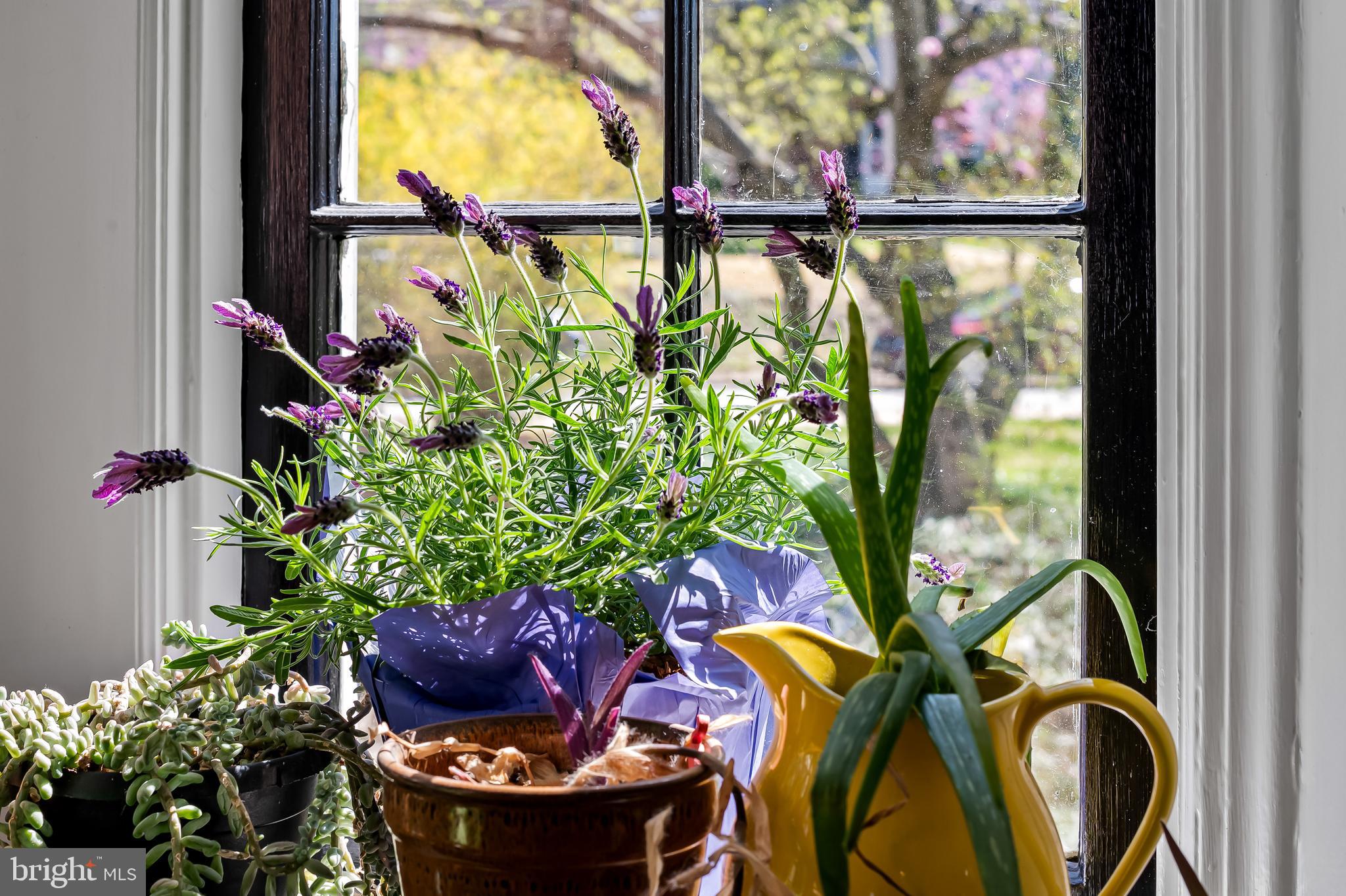 MOUNT WASHINGTON - Residential