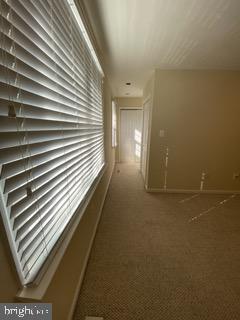 NEWBERRY STATION - Residential Lease