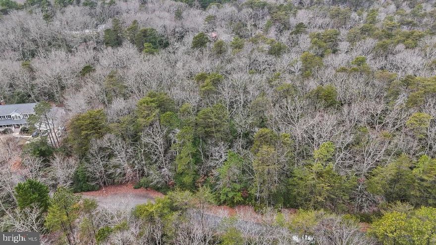 Expansive 4.8-Acre lot in highly sought after location.

RECORDED PERC! Ready to build! Located just minutes outside the heart of Leonardtown, MD, this beautiful 4.8-acre lot offers a rare opportunity to bring your dream home to life on almost 5 private acres.  Please be advised lot lines drawn on listing photo are not exact; just approximate and for visual purposes only.