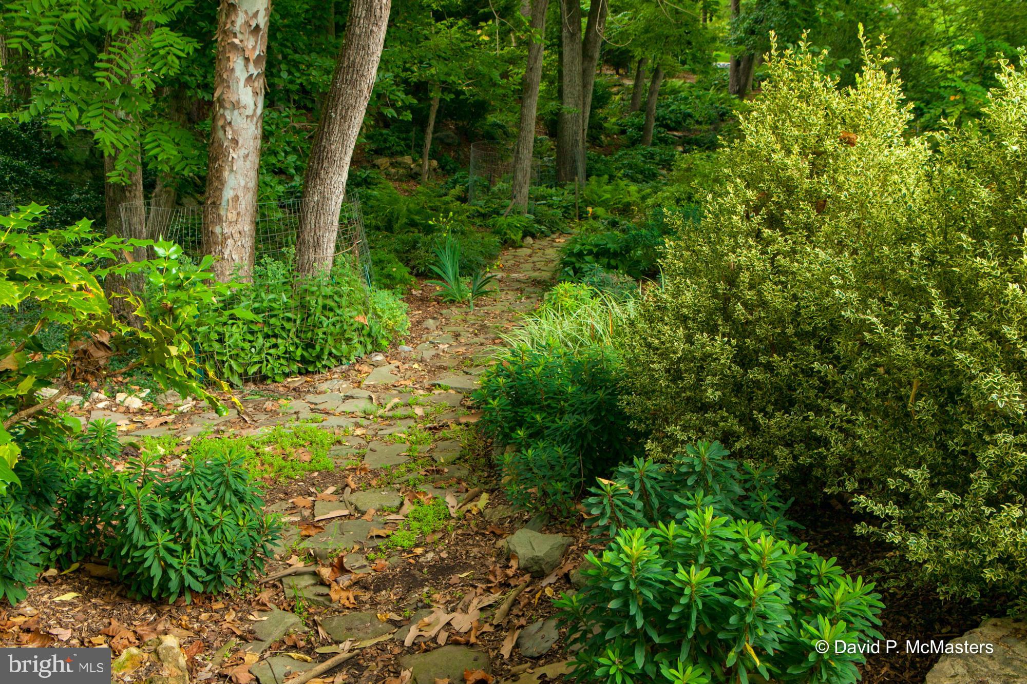 STEAMBOAT RUN - Residential