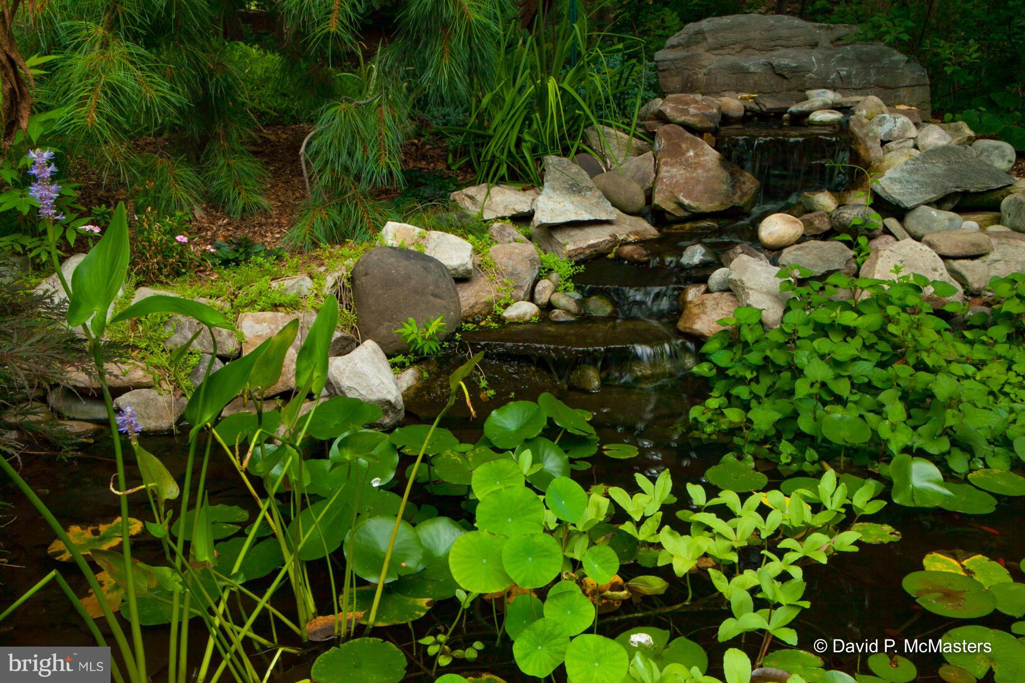 STEAMBOAT RUN - Residential