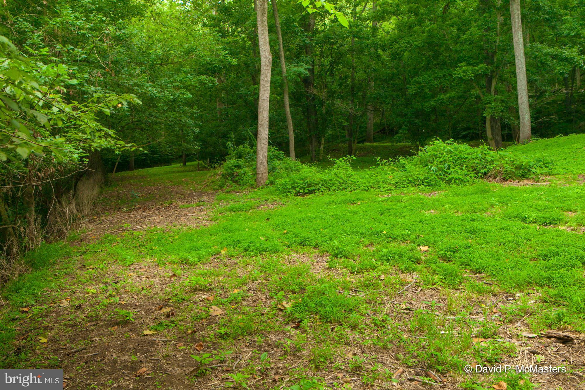 STEAMBOAT RUN - Residential
