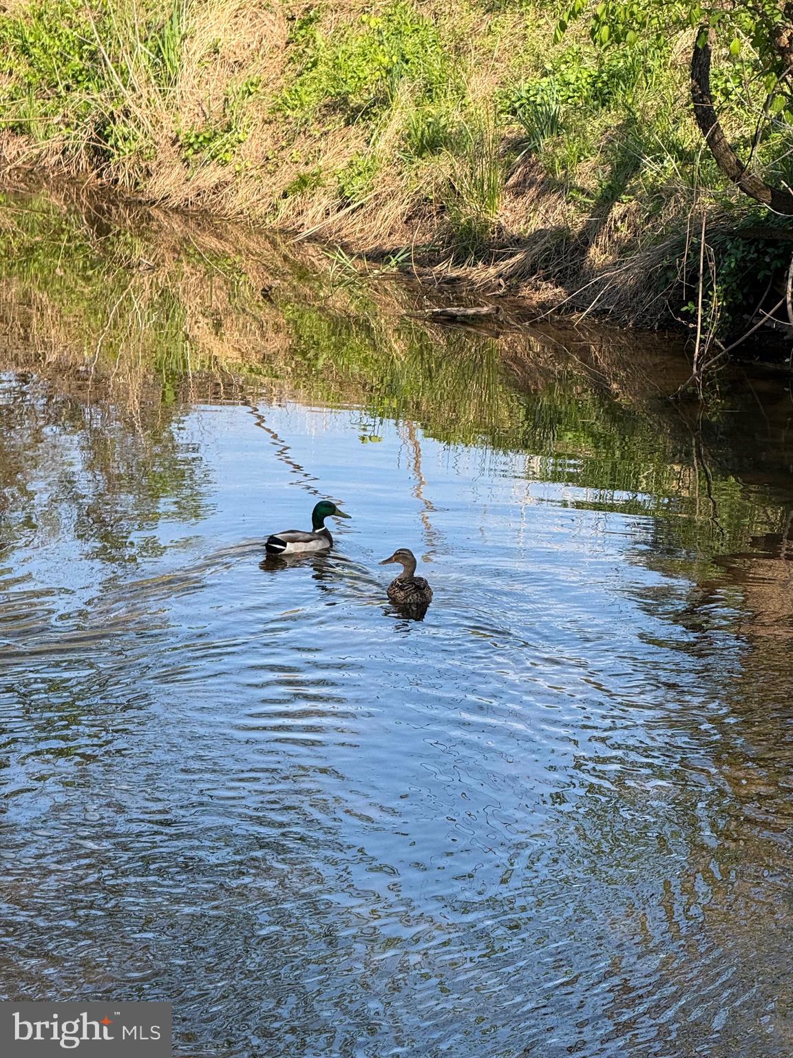 DOVER BORO - Residential