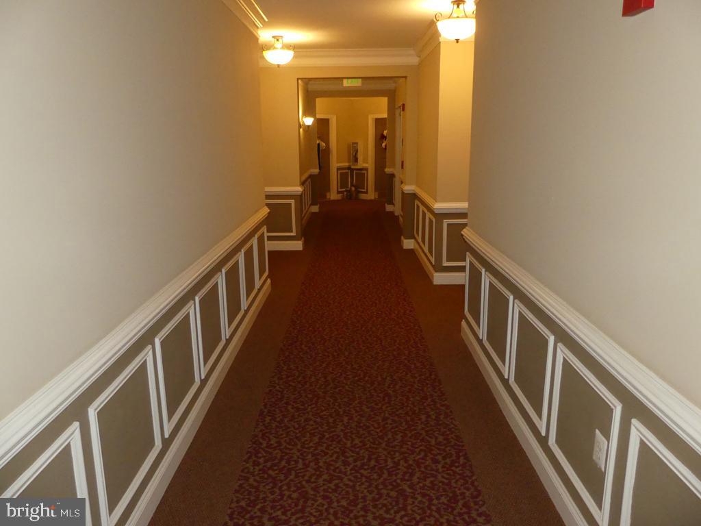 MACPHAIL WOODS - Residential