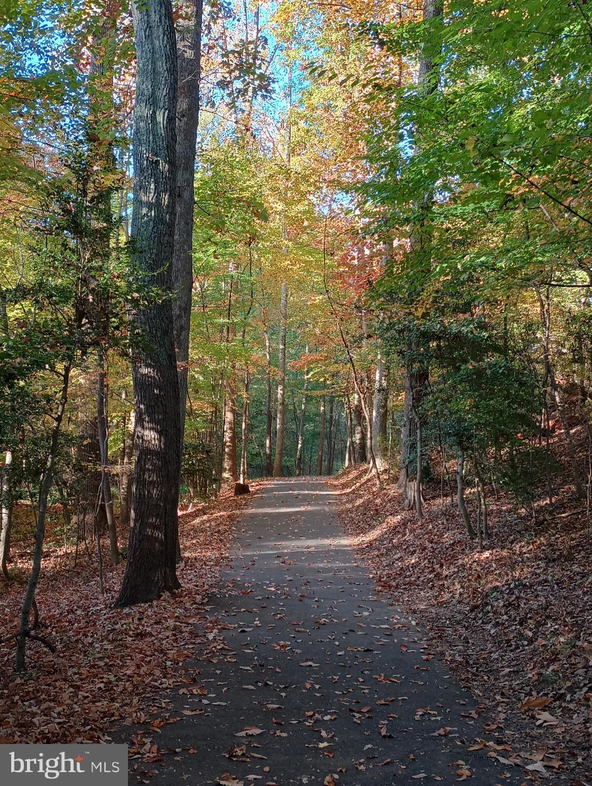 HUNTERS WOODS VILLAGE - Residential