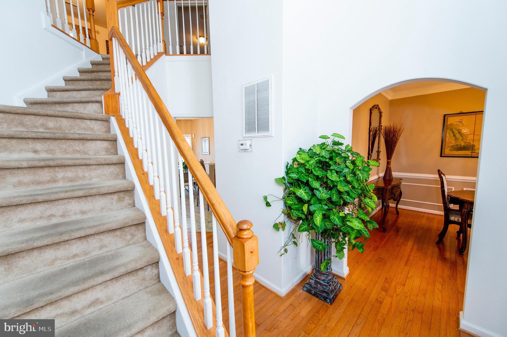 RIVER MEADOWS - Residential