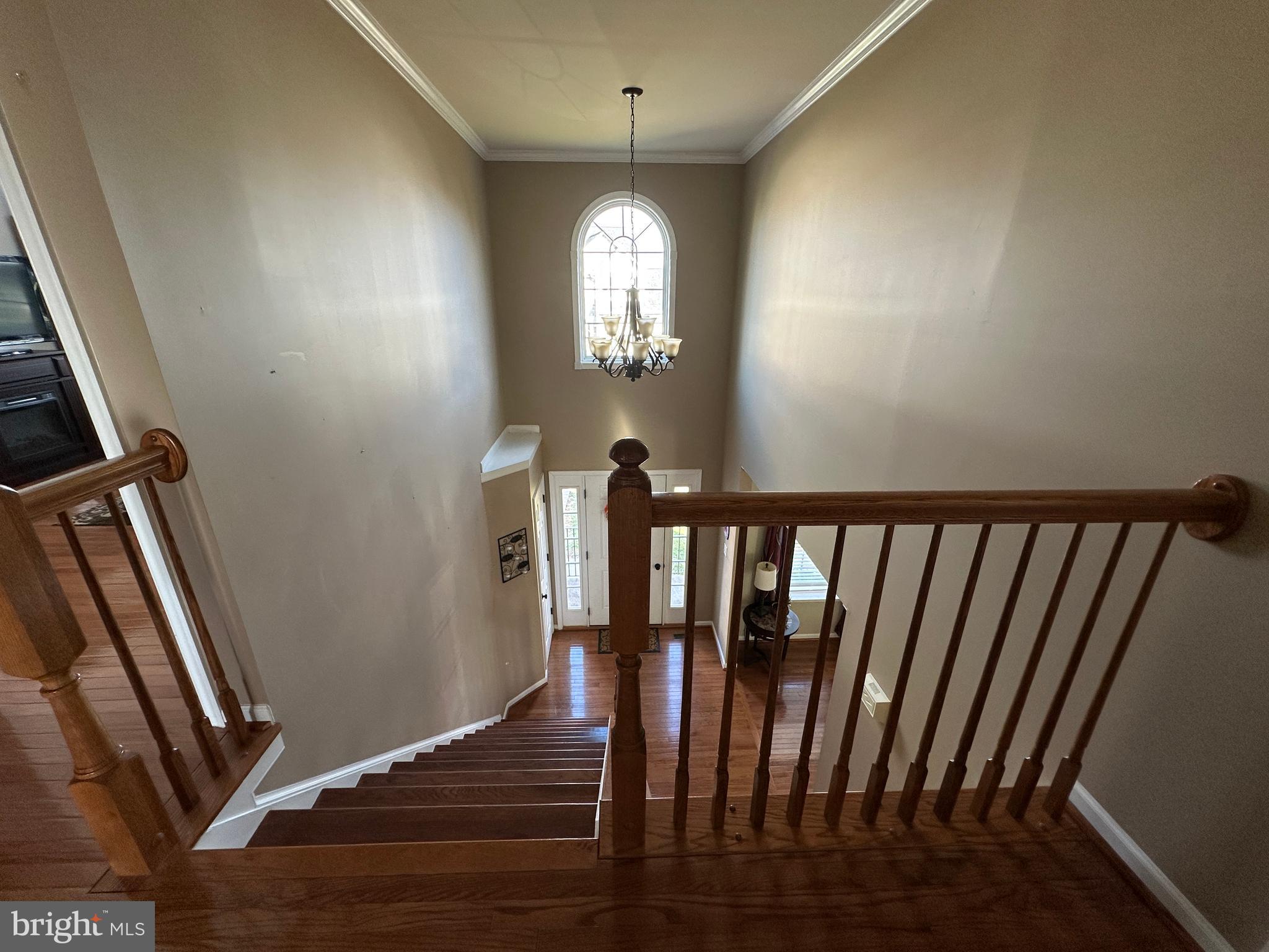 SYCAMORE VILLAGE - Residential