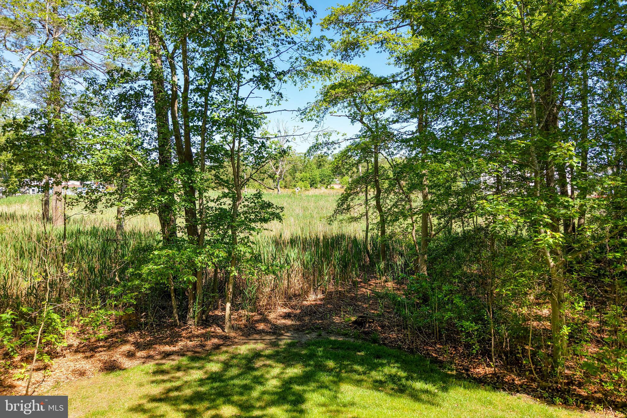 LOVE CREEK WOODS - Residential