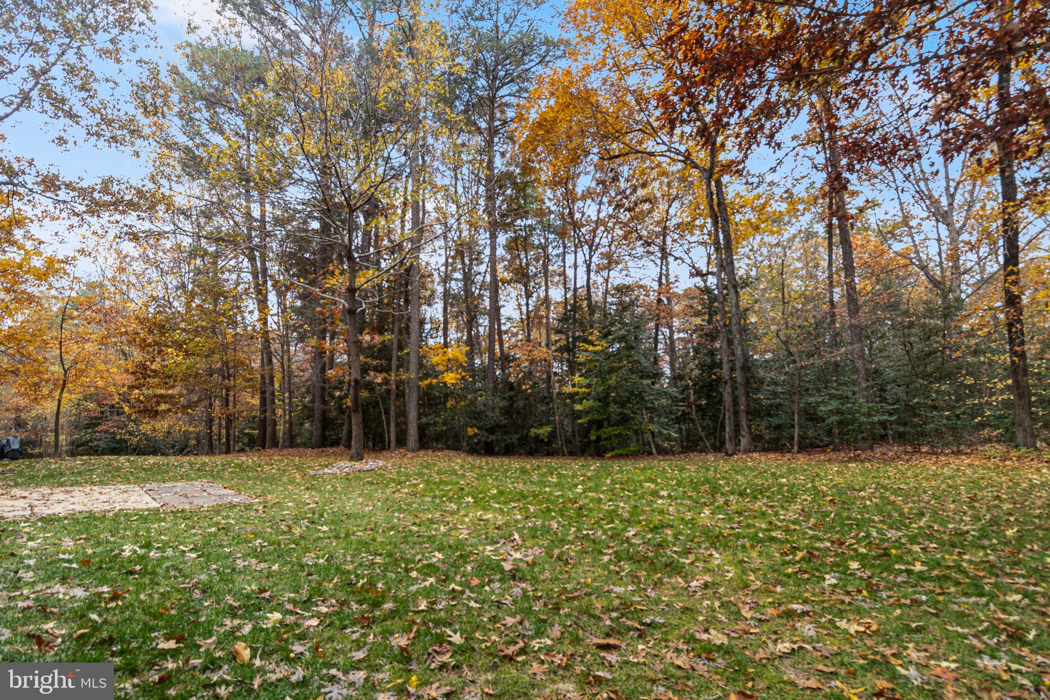 PEPPER RIDGE OF WILDEWOOD - Residential